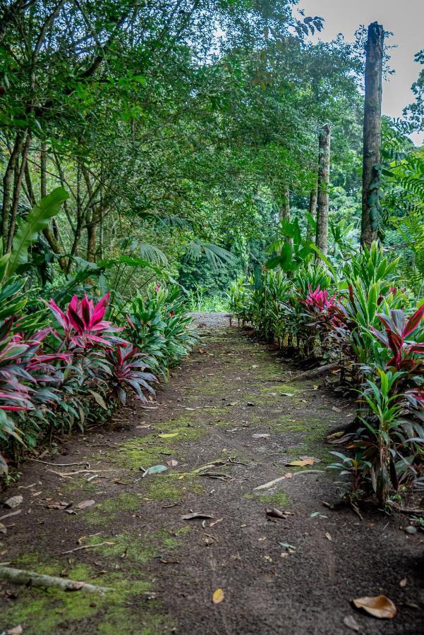 Hotel Los Rios Guácimo Eksteriør bilde